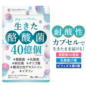 酪酸菌 サプリ 乳酸菌 ビフィズス菌 生きた酪酸菌40億個 納豆菌 オリゴ糖 イヌリン 難消化性デキストリン プロバイオティクス 30日分 耐酸性カプセル 国内製造 ネイチャーファーマ 善玉菌 体内フローラ サポート 菌 健康 美容 すっきり