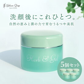 【公式】【5点セット】ハーブ＆ゲル 120g オールインワンゲル 天然ハーブ 乾燥肌対策 乾燥肌 保湿 ヒアルロン酸 ハトムギ種子エキス アロエベラ葉エキス ビフィズス菌 グリチルリチン酸 アルコールフリー 界面活性剤フリー 母の日