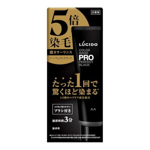 LUCIDO(���V�[�h) �J���[�����XPRO �p�[�t�F�N�g�u���b�N[ �J���[�����X �J���[�g���[�g�����g ] 120g