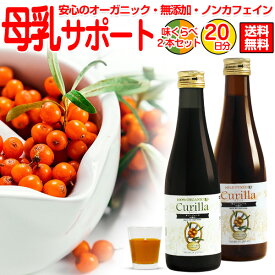 母乳育児の必需品 味比べお試し10日分の2本セット（300ml×2本）母乳 アップ サジー ジュース スーパーフルーツ ドリンク 鉄分 鉄ドリンク 美容 健康 無添加 鉄分補給 女性 マタニティ シーベリー シーバックソーン