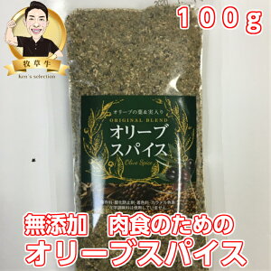 Y@I[uXpCX100gܓ@Ԑg@ᓜ