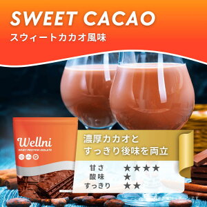 EFj Wellni WPI zGCveC 1kg OXtFbh A`h[sO r^~11 ^pN25.2g  Ǘh{mďC whey protein