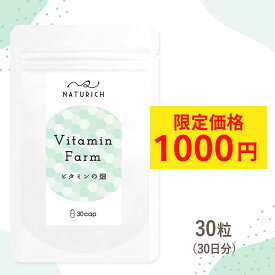 ＼ 訳あり 限定価格2,880円→1,000円／ ビタミンの畑 30粒 マルチビタミン 1粒で19種類の栄養成分摂取可能 1日の1/3のビタミン補給 9種類のミネラル 合成品ではないカラダに優しいビタミンを摂りたい方に 30日分 naturich [M便 1/5]