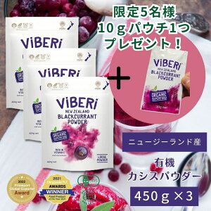 yŒZIzy܎tEj[W[hYL@z JVXpE_[ 450g ViBERiyL@JAS _f NZY ubNJg B[K r[K I[KjbN AgVAj 100 