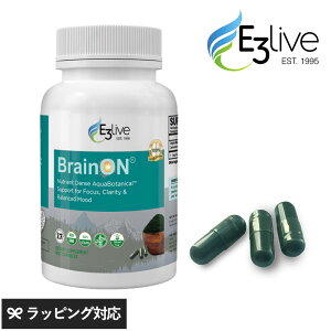 E3Live C[X[Cu BrainON JvZ 90 Tvg I[KjbN i` X[p[t[h  Tv W J r^~ ~l