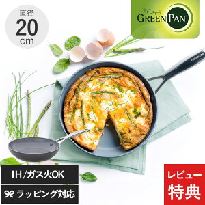 �y���r���[���T����z GreenPan �O���[���p�� ���F�j�X �v�� �t���C�p�� 20cm �t���C�p�� �H��@�Ή� �ł��t���ɂ��� ������� IH �K�X ���S ���S �m���X�e�B�b�N �N�b�N�E�F�A �M�t�g �v���[��