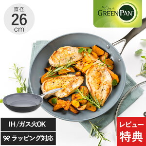 �y���r���[���T����z GreenPan �O���[���p�� ���F�j�X �v�� �t���C�p�� 26cm �t���C�p�� �H��@�Ή� �ł��t���ɂ��� ������� IH �K�X ���S ���S �m���X�e�B�b�N �N�b�N�E�F�A �M�t�g �v���[��