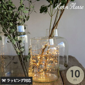 Horn Please z[ v[Y LED C[Cg uN 10m LED C[Cg d  fBXvC NX}X CeA _ _ fR[V