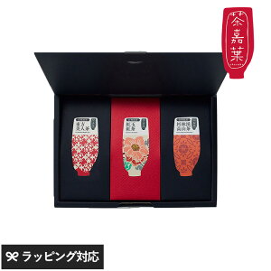 ×t `Jo lC̑p3Zbg  t p Zbg Mtg 蕨  킢 pbP[W ݔ