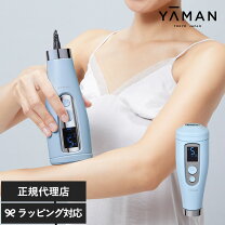 楽天市場】レイボーテgoの通販