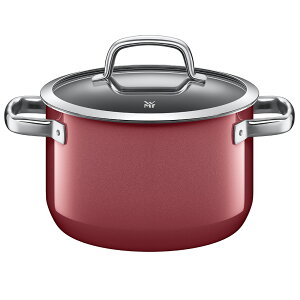 WMF F[GGt t[WebN nCLZ[20cm  [^ Wt    hCc łtȂ IHΉ HΉ v 