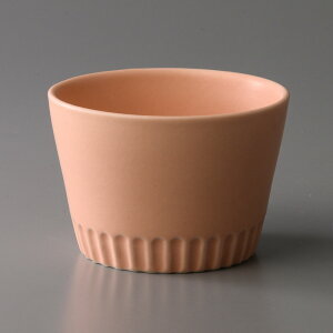 Sakuzan TNU Stripe Jbv  fU[gJbv  킢 Z  { HΉ Mtg v[g ΂傱 ۂ H e[uEFA