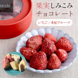 果実染込みチョコ 染みチョコ 含浸 チョコレート いちご 苺 イチゴ リンゴ りんご キウイ みかん おしゃれ かわいい ギフト 手土産 ホワイトチョコ しみチョコ 果物 フリーズドライ フルーツ