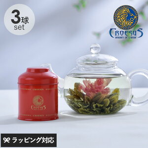花 の お茶 中国茶の人気商品 通販 価格比較 価格 Com 花 の お茶 中国茶の人気商品 通販 価格比較 価格 Com