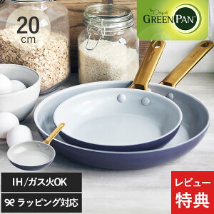 �y���r���[���T����z GreenPan �O���[���p�� �p�h���@ �t���C�p�� 20cm �_�[�N�u���[ �t���C�p�� ������� IH�Ή� 20cm �K�X�� �I�[�u���Ή� �J���[ ������� �M�t�g �v���[���g