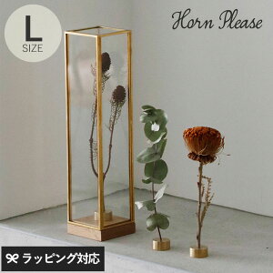 Horn Please z[ v[Y BRASSt[ fBXvC{bNX g[ L _PP02 ybsOΉz ybZ[WJ[hΉz fBXvC{bNX KX ^J  hCt[ AN