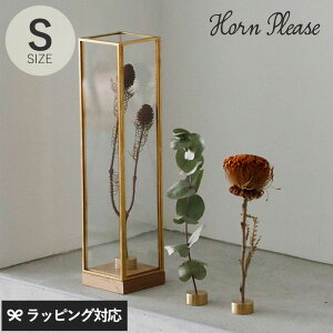 Horn Please z[ v[Y BRASSt[ fBXvC{bNX g[ S _PP02 ybsOΉz ybZ[WJ[hΉz fBXvC{bNX KX ^J  hCt[ AN