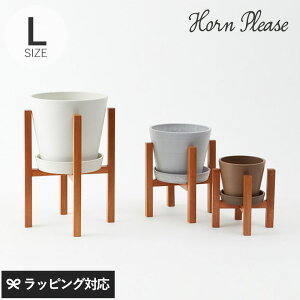 Horn Please z[ v[Y WOOD vgX^h L v^[X^h t[X^h ؐ k  6 RpNg t[ O[ CeA