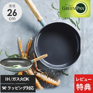 GreenPan O[p Ct[ tCp 26cm tCp ^ IHΉ KXΉ  k S łtɂ  ̂ɊQ̂ȂtCp 