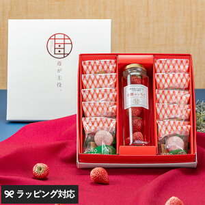 䕂 ZNVB XC[c   NbL[ 蕨 Mtg Ƃ  َq 킢 v~A ґ Ε