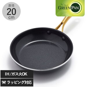 GreenPan �O���[���p�� �X�g�D�f�B�I �t���C�p�� 20cm �t���C�p�� IH �K�X ������� 20cm ���S �m���X�e�B�b�N ���т���ɂ��� �X�^�C���b�V�� �S�[���h
