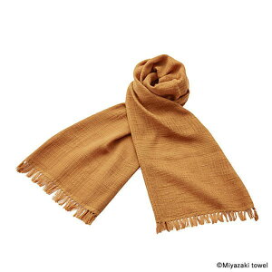 ݂₴^I(MIYAZAKI TOWEL) }t[ Xu ONE SIZE No.30() 07710001000030