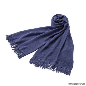 ݂₴^I(MIYAZAKI TOWEL) V[Xu ONE SIZE No.2(Ȃp[v) 07710003000002