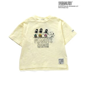 F.O.KIDS(GtEI[ELbY) Kid's PEANUTSR{ K[g_C TVc LbY R207094 S3F S4TCY