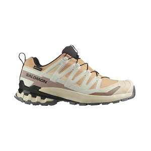 SALOMON(T) XA PRO 3D V9 GORE-TEX W(XA v 3D V9 SAebNX EBY) L47817600 S5TCY