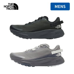 THE NORTH FACE(UEm[XEtFCX) A^T 300 8/26.0cm AXt@gO[×TNFubN(AK) NF02403