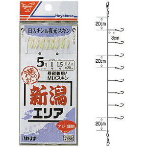 nuT(Hayabusa) `߂ V 5-1 AS-009