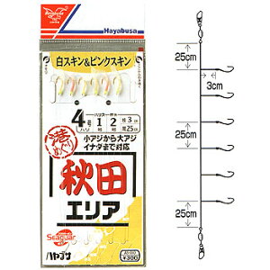 nuT(Hayabusa) `߂ Hc V[K[ 5-1.5 AS-010