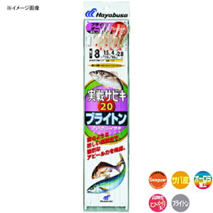 nuT(Hayabusa) SGTrL 20 uCgI[ 12-4 SS111