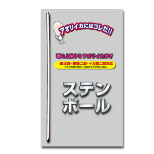 ꐸH Xe|[ 33cm 13016