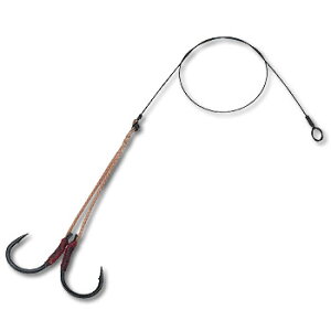 ؑ(LVE) ؑ Pv[C[2{j 14 515953