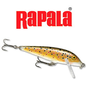 Rapala(ラパラ) カウントダウン 50mm TR(トラウト) CD-5