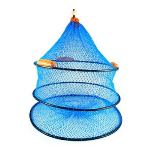 ㋙(OGK) pCz[XXJ S7TCY