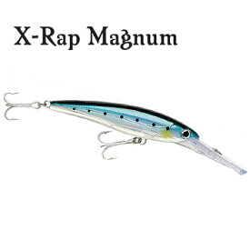 Rapala(ラパラ) XRMAG30 X-RAP 16cm BSRD(イワシ) XRMAG30