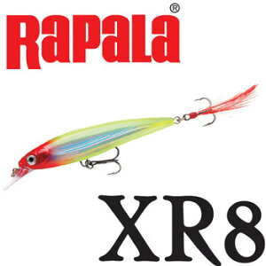 Rapala(���p��) XR8 X-RAP 8cm CLN(�N���E��) XR8