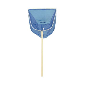 h OpST65 A~gbV ؕ 261