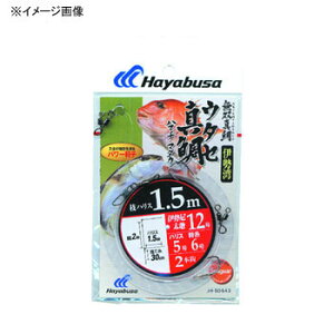 nuT(Hayabusa) o^ ɐp E^Z^En}`E}_J }1.5m b11/nX4  SD543