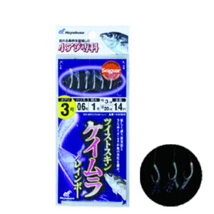 nuT(Hayabusa) AW cCXgPCC{[ 6{b b3/nX0.6  HS303