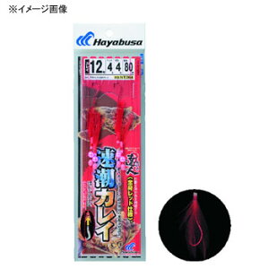 nuT(Hayabusa) ̒Bl JC Sgbh b11/nX4  NT364