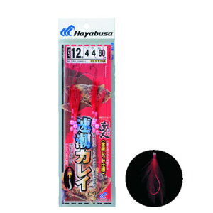 nuT(Hayabusa) ̒Bl JC Sgbh b12/nX4  NT364