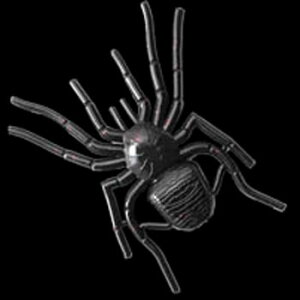 KNtg(GAN CRAFT) BIG SPIDER(rbOXpC_[) 8.5cm #08 ubN/bht[N