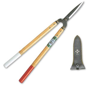 P(okatsune)  55^ 204