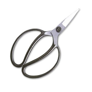 P(okatsune) A C-2^ 203