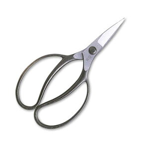 P(okatsune) A D^ 221