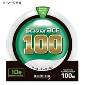 クレハ(KUREHA) シーガーエース 100m 単品 1号 クリア NA1001