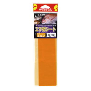 n~c GTV[g No3~J E-54M